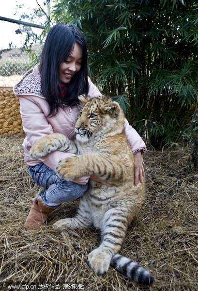 Rare baby liger in E China