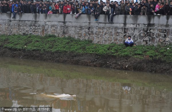 Endangered dolphin rescued in S China