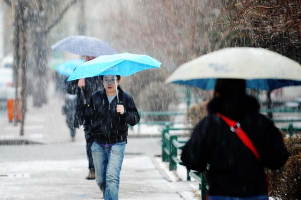 Snowfall hits NE China's Harbin