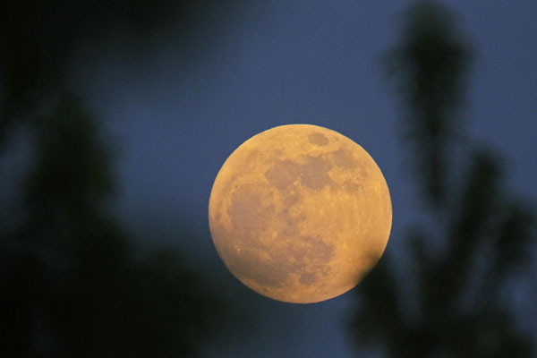 'Super Moon' lights up Saturday's night sky