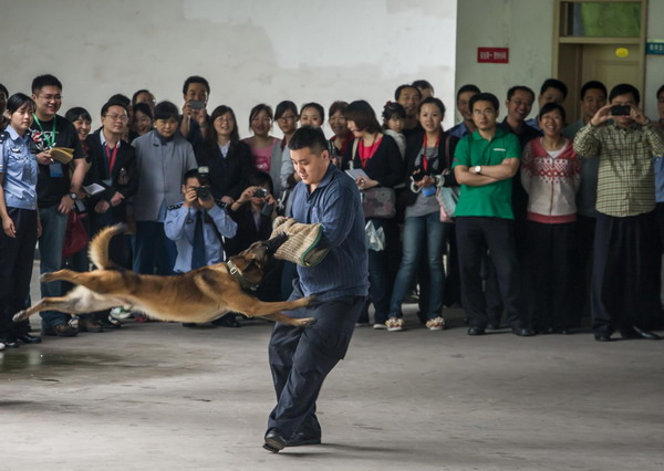 Chongqing shows off its police dogs