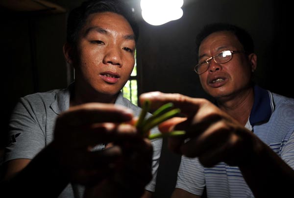 Top university graduate goes to farm