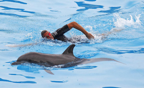 Swimming with dolphins