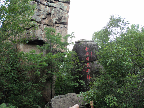 Snapshots of China's 'forest capital'