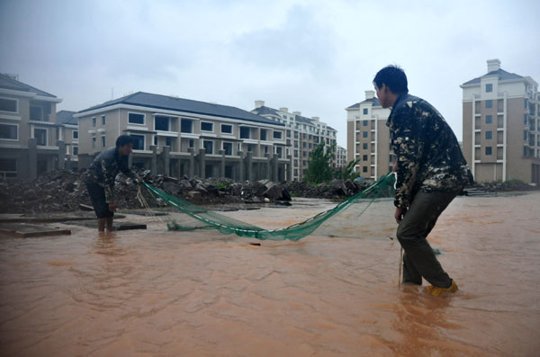 Typhoon brings fish to streets