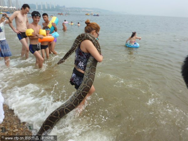 4m long pet snake goes for a swim