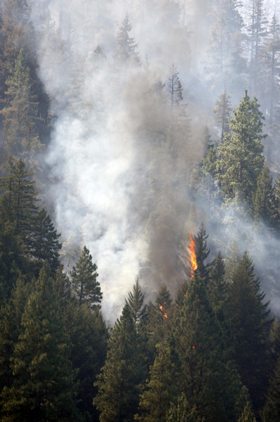 Wildfires devastate the West US