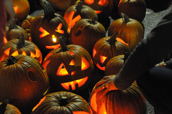 40,000 pumpkins lit to beat Guinness World Record