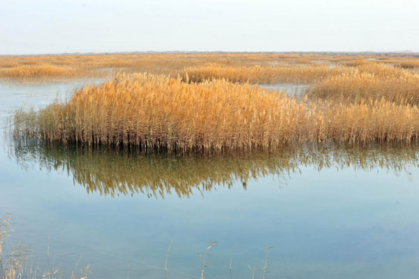 Dry lake in NW China on its way to recovery