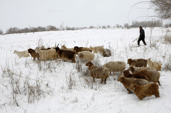 Altay in Xinjiang sees heavy snow