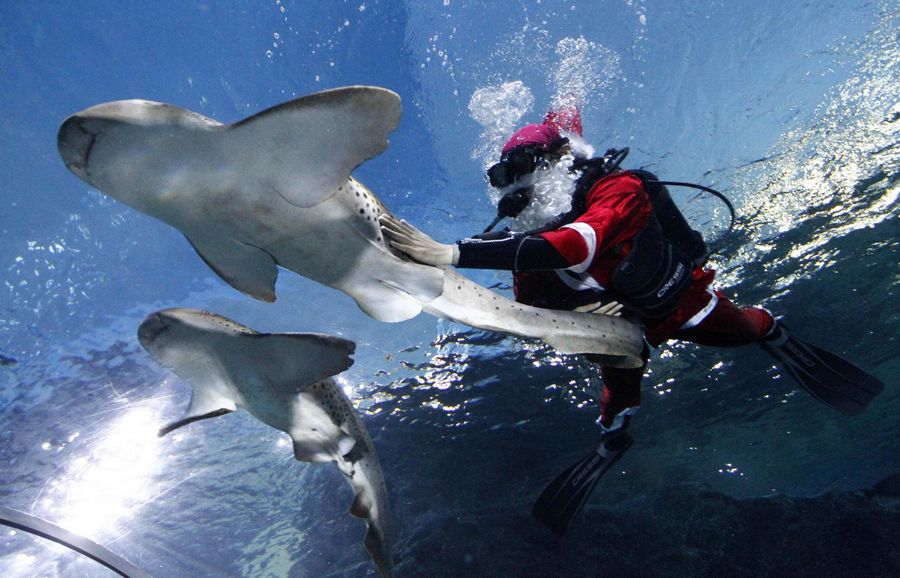 Photo special: Santa Claus gets around