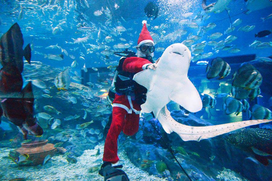 Photo special: China celebrating Christmas in its own way