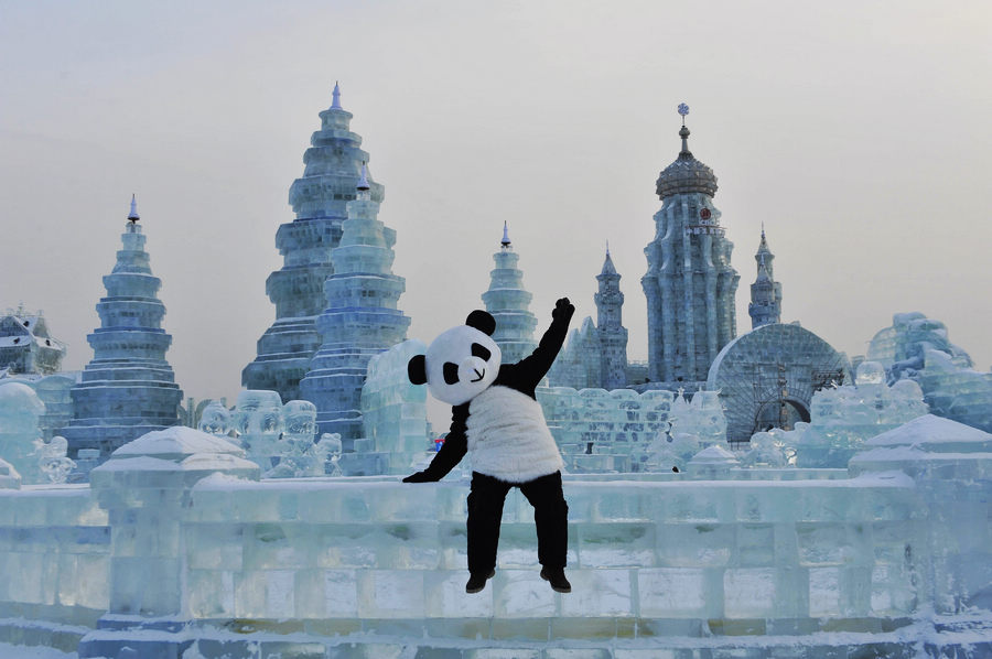 Visitors enjoy ice world