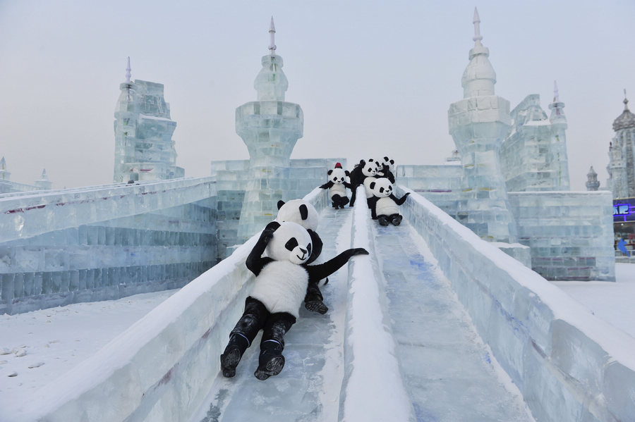 Visitors enjoy ice world