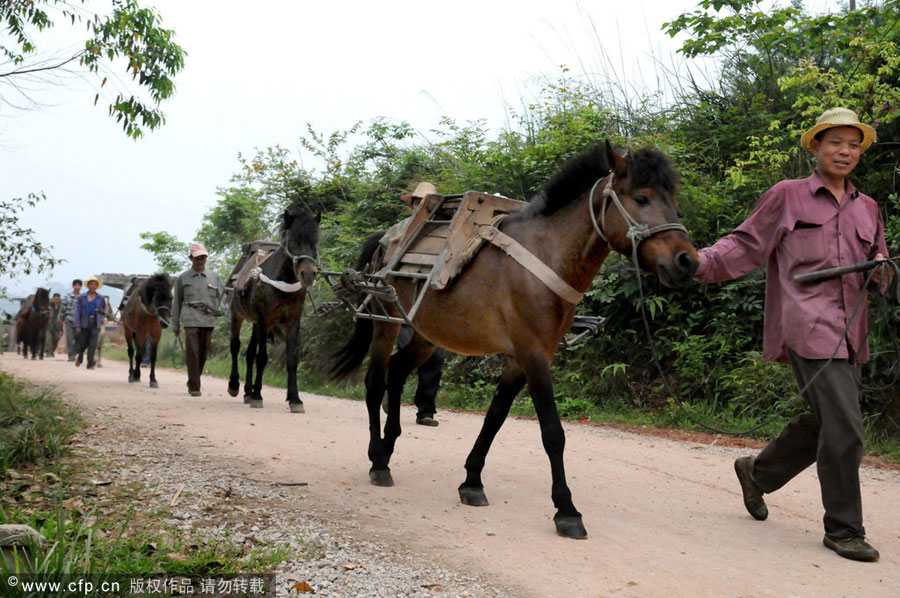 War horse still hot to trot