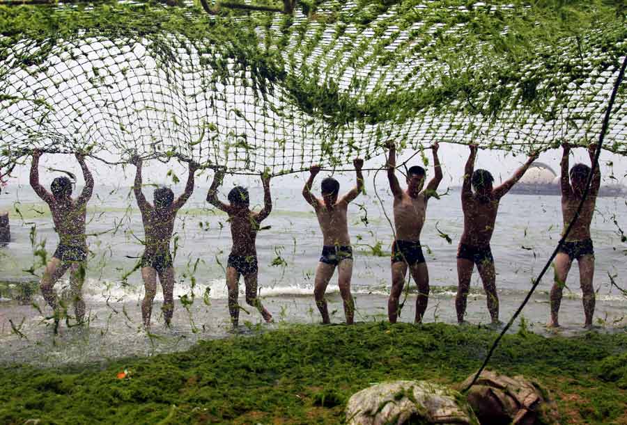 China Daily Pictures of the Year 2012