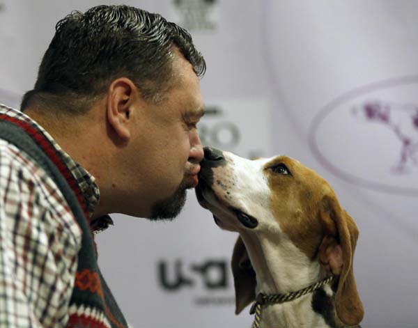 Annual dog show in New York