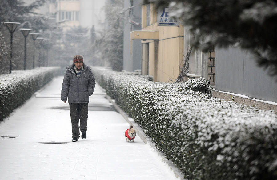 Cold snap brings snow to most parts of China