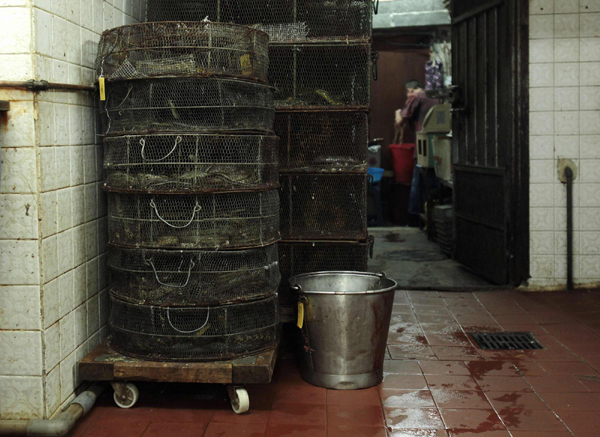 Snake soup stores in Hong Kong