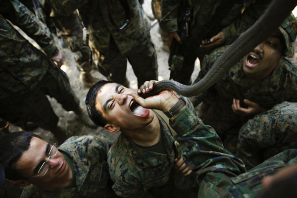 US marines drink cobra blood in exercise