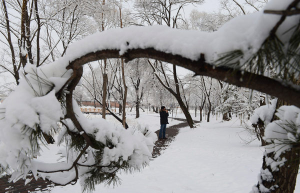 Beijing blanketed by spring snow