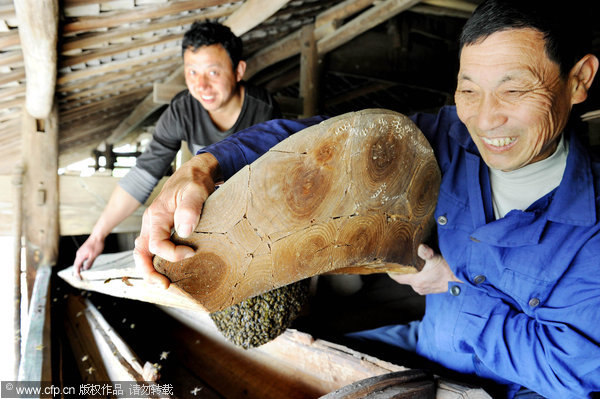 Life after death filled with honey