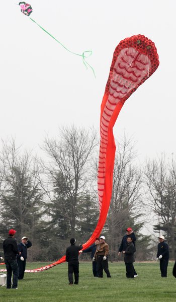 Kite festival held in E China