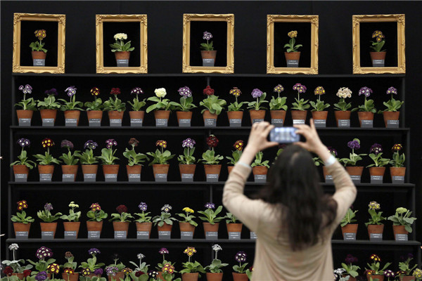 Chelsea Flower Show in London