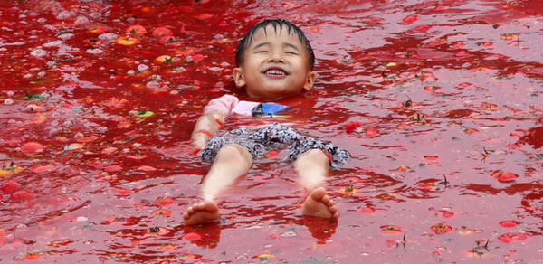 Tomato bathing in South Korea