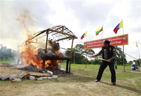 Drugs destroyed to mark anti-drug day