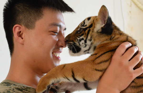 Newborn tiger cubs make debut in C China