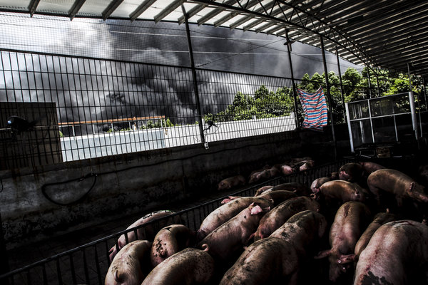 Fire in S China takes down food warehouses