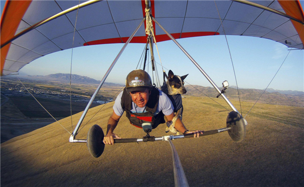 Fly with man's best friend