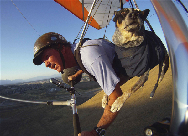 Fly with man's best friend