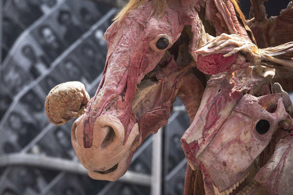 Deconstructed bodies on display at Times Square