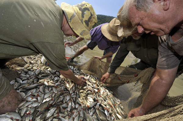 Fish rescued after lake dried up