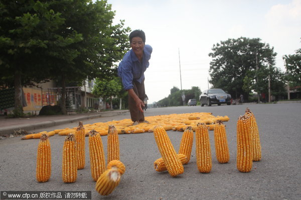 Photos: Ordinary moments from everyday life