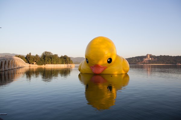 Rubber duck adjusting to spot at Summer Palace