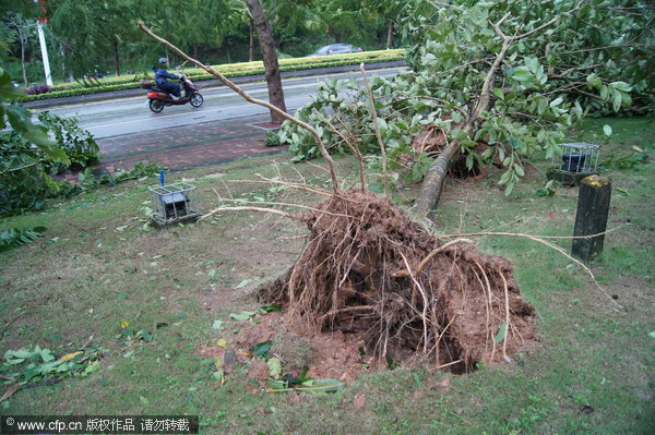 Typhoon Wutip barrels down in Sanya