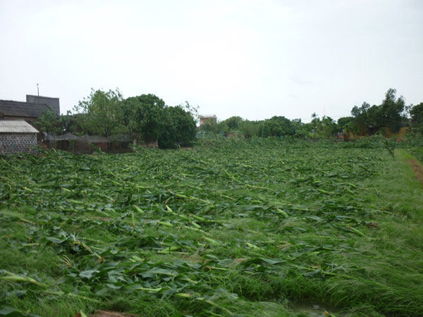 Typhoon Haiyan hits Vietnam