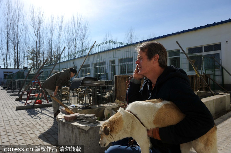 Expat rescues stray animals in Beijing