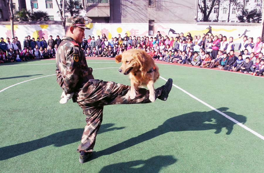 Search-and-rescue dogs wow students in NW China