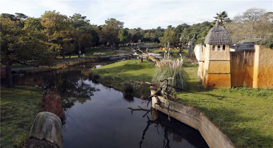 Private Palmyre Zoo in France