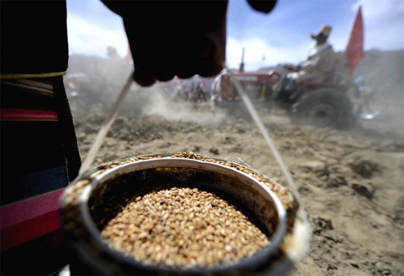 Life in Tibet