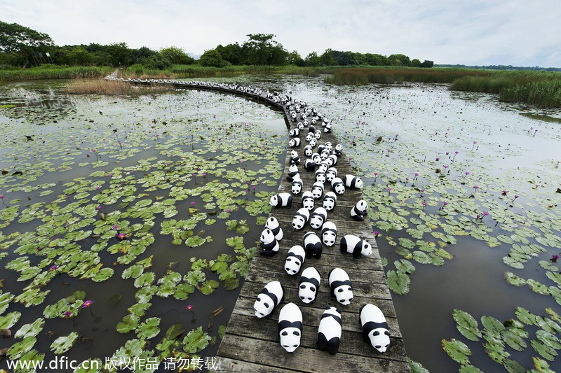 Paper pandas continue tour in Hong Kong