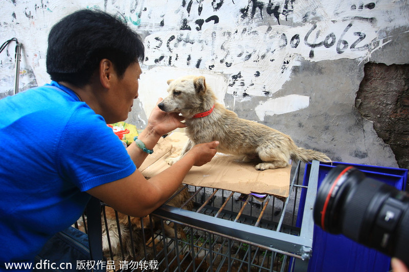 Yulin dog meat vendors make money off activists