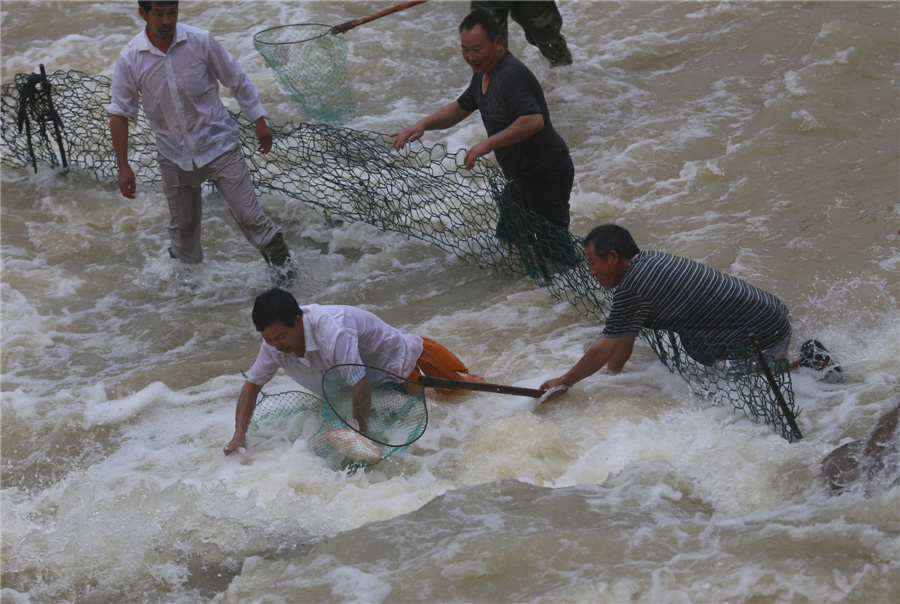 Fish going free as E China floodgates open