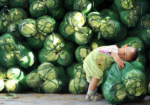 Summer holiday at farmers' market