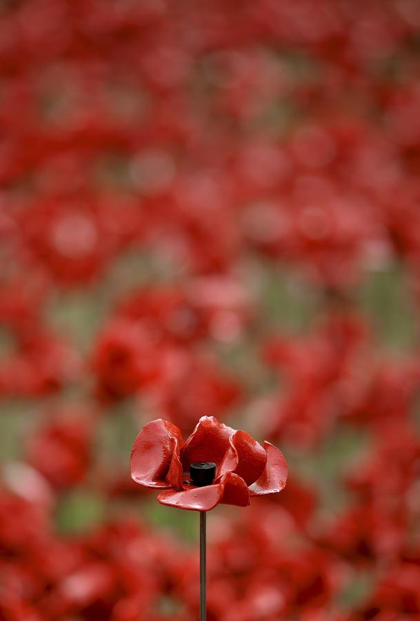 Britain's royal family commemorates WWI