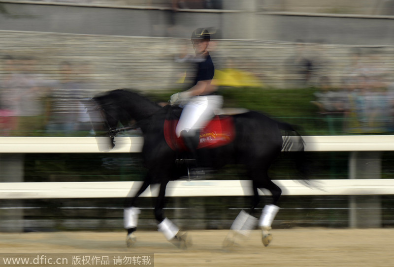 A galloping success in SW China’s Chongqing